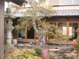 手入れをしながら使うということ。