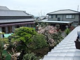 もう１年ですね。