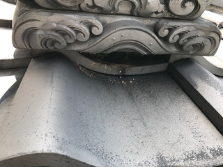 【ブログ更新】屋根瓦のしっくいは取れても修理できます。