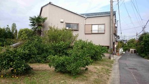 【ブログ更新】高所作業車に乗った日