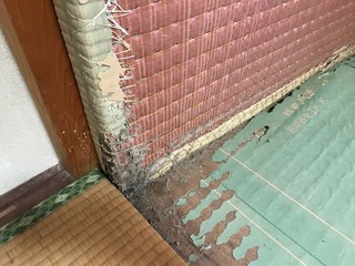【ブログ更新】シロアリ被害の惨状